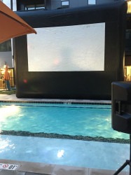 IMG 1286 1737896663.jpeg Movie screen