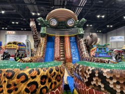 IMG 2430 1763741555 Welcome to the Jungle Dual Lane slide