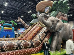 Welcome to the Jungle Dual Lane slide