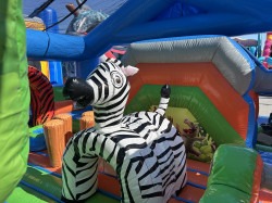 IMG 2437 1763742082 Zoo themed combo