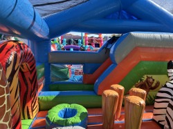 IMG 2438 1763742082 Zoo themed combo